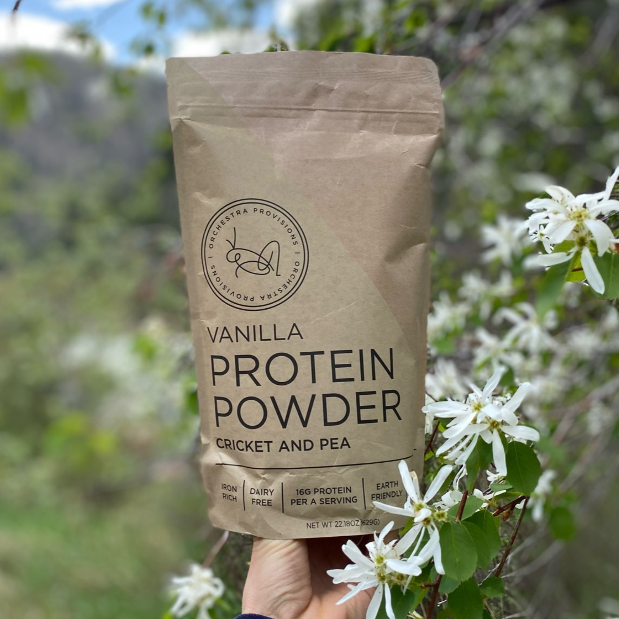 Cricket Protein Powder | Vanilla – Orchestra Provisions